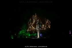 fotografie-3
