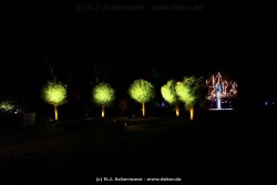 fotografie-54