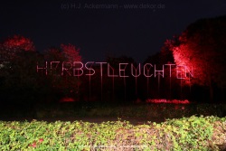 fotografie-18