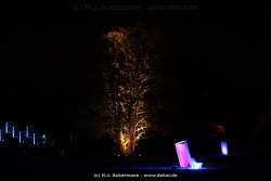 fotografie-145