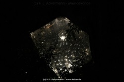 fotografie-22