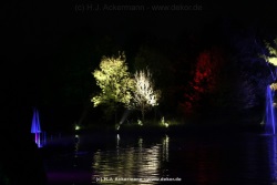 fotografie-33