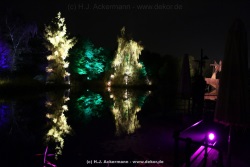 fotografie-43
