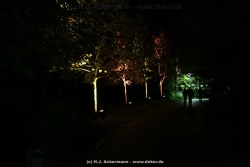 fotografie-73