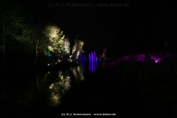 fotografie-7