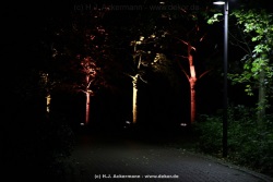 fotografie-77