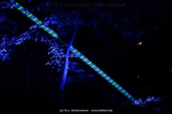 fotografie-36
