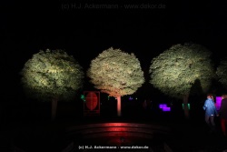 fotografie-6