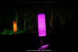 fotografie-42