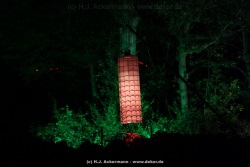 fotografie-43