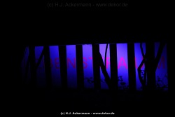 fotografie-20