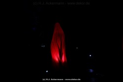fotografie-42