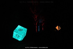 fotografie-67