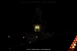 fotografie-25