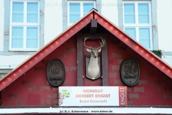 fotografie-12