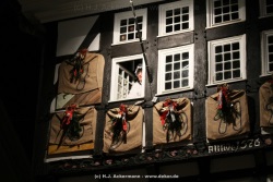 fotografie-29