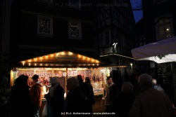 fotografie-61