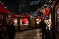 fotografie-19
