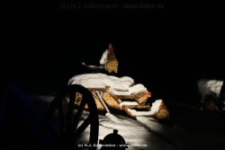 fotografie-136