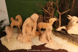 fotografie-14