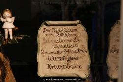 fotografie-146