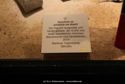 fotografie-95