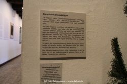 fotografie-45