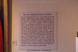 fotografie-12