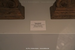 fotografie-49