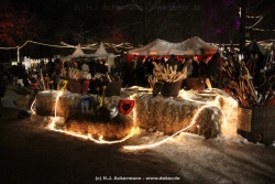 fotografie-11