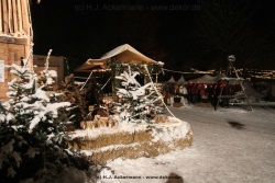 fotografie-149