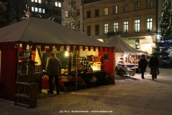 fotografie-8