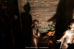 fotografie-13