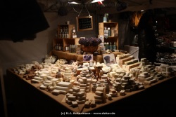 fotografie-19