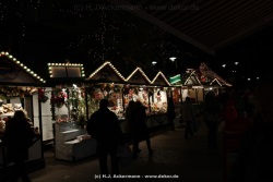 fotografie-5