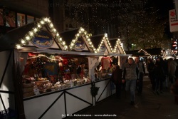 fotografie-13