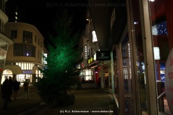 fotografie-53