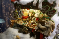 fotografie-15