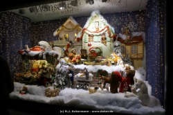 fotografie-29