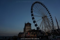 fotografie-10