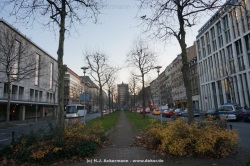 fotografie-36
