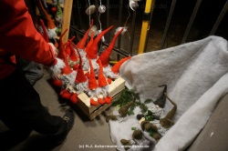 fotografie-12