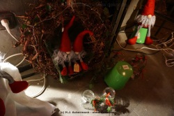 fotografie-14