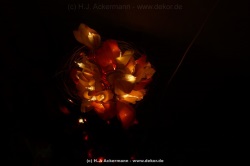 fotografie-25