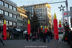 fotografie-31