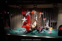 fotografie-17