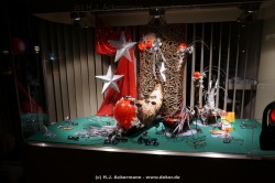 fotografie-18