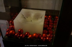 fotografie-32