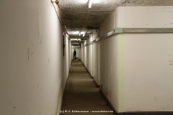 fotografie-56