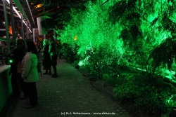 fotografie-14